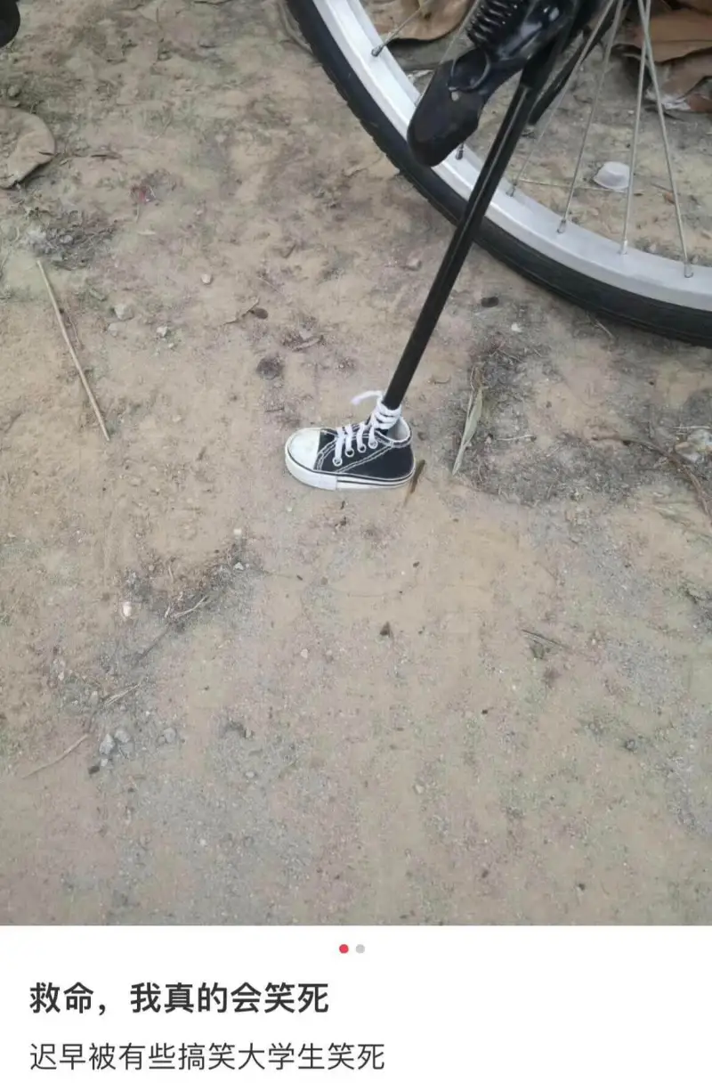 救命，我真的会笑死迟早被有些搞笑的大学生笑死