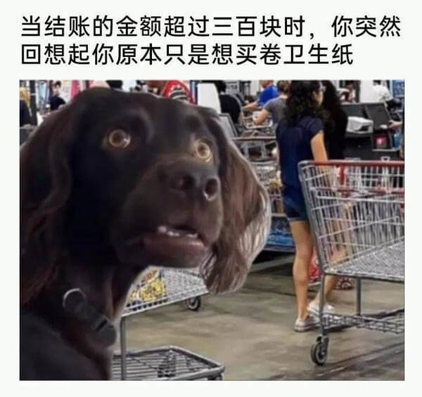 当结账的金额超过三百块时，你突然回想起你原本只是想买卷卫生纸