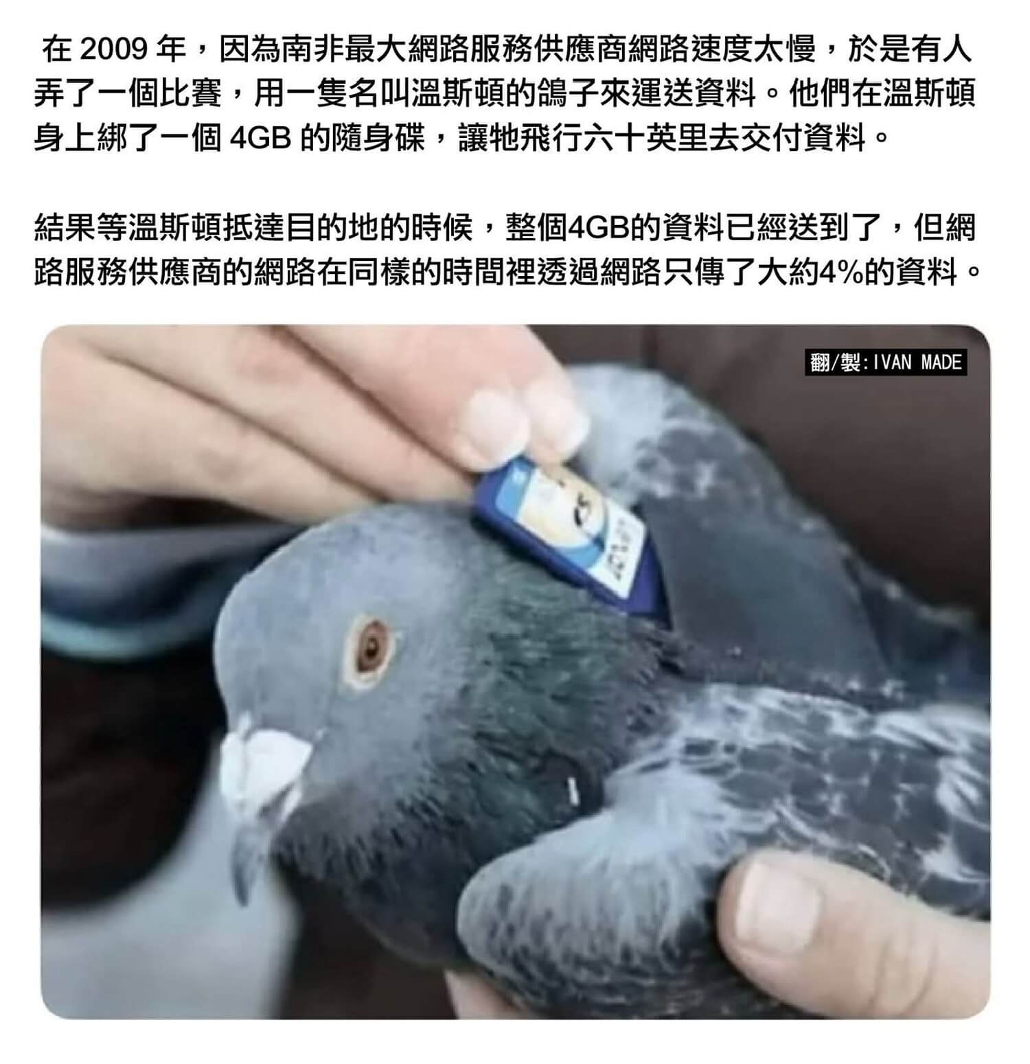 在2009年，因為南非最大網路服務供應商網路速度太慢，於是有