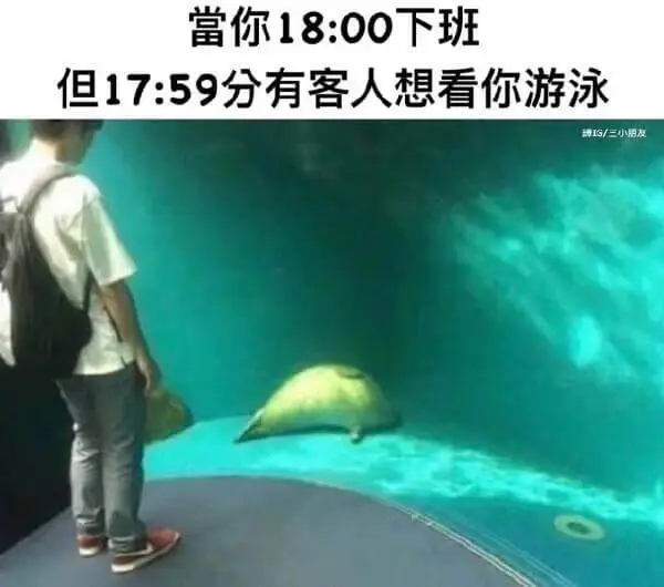 当你18：00下班但17：59分有客人想看你游泳IS/三小朋