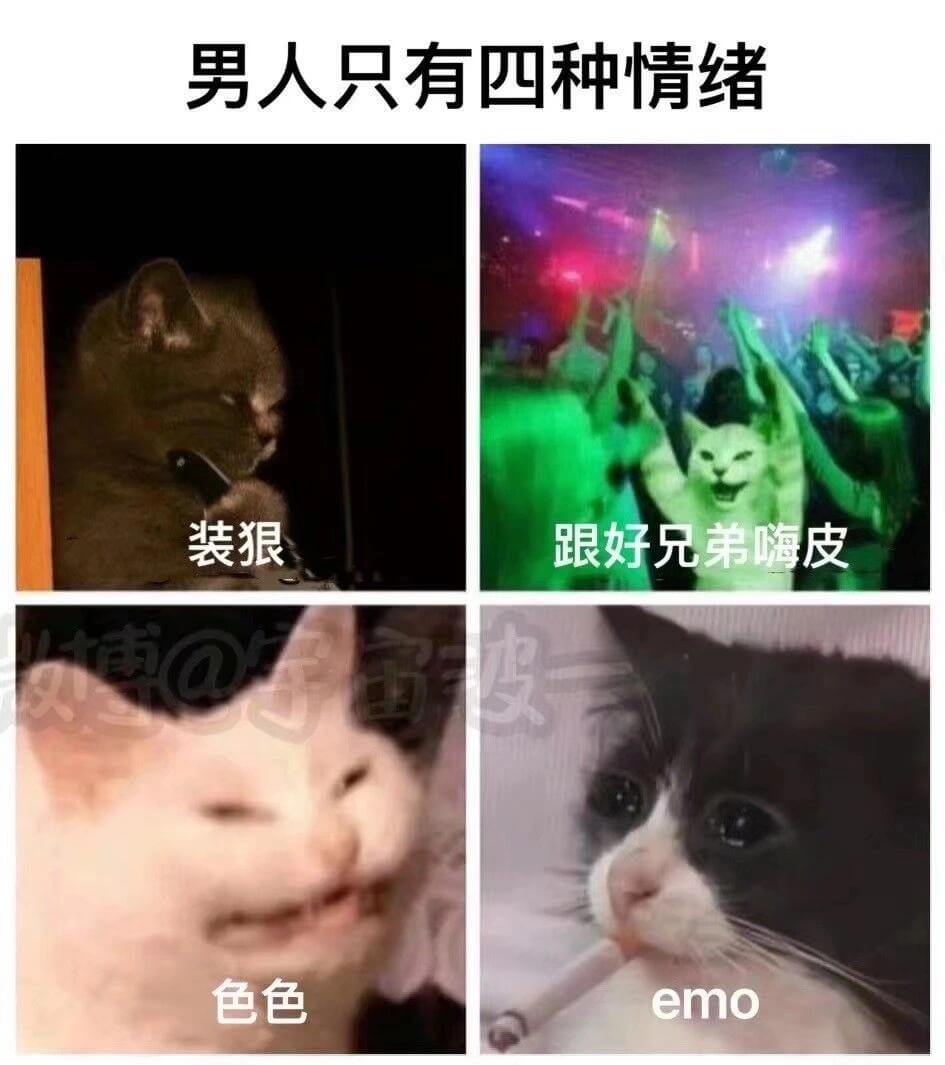 男人只有四种情绪：装狠、跟好兄弟嗨皮、博皮、色色、emo。