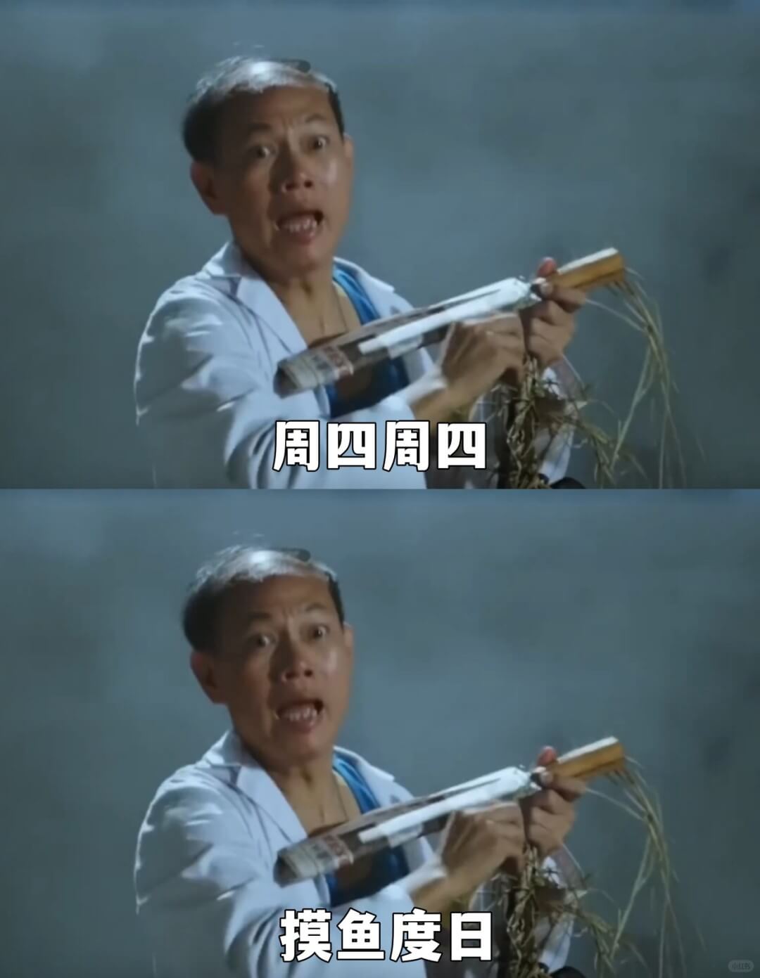 周四周四摸鱼度日