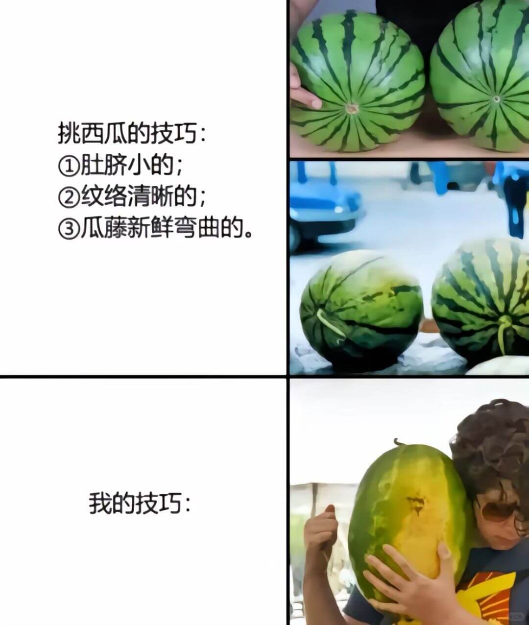 挑西瓜的技巧:①肚脐小的;②纹络清晰的;③瓜藤新鲜弯曲的。我