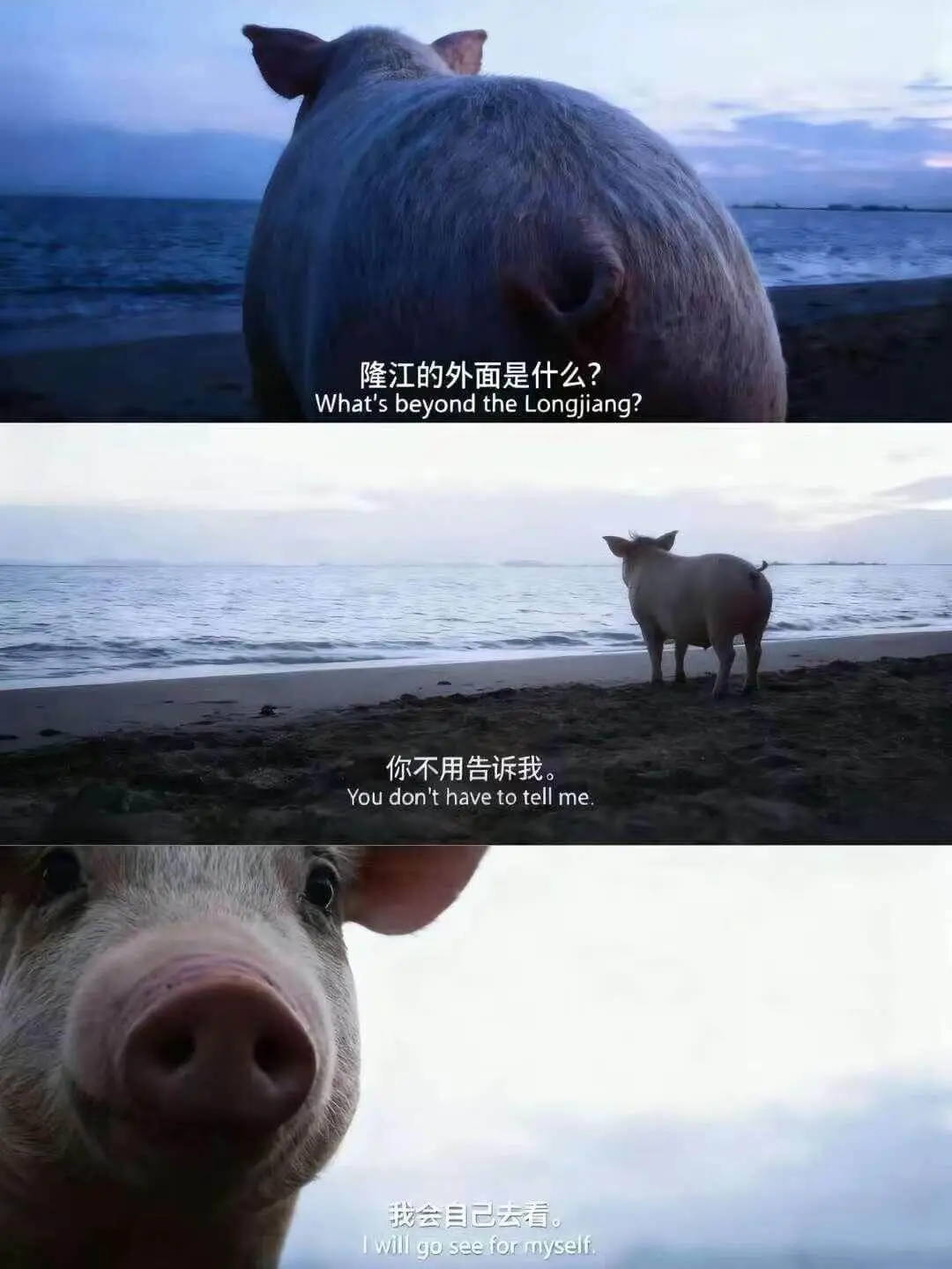 隆江的外面是什么?WhatsbeyondtheLongjia