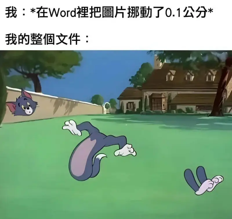 我：*在Word把圖片挪動了0.1公分*我的整個文件：