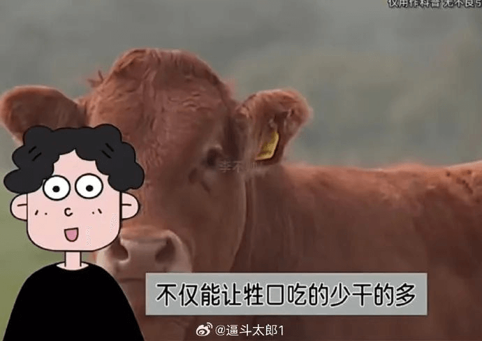 仅用作科音不仅能让牲口吃的少干的多@逼斗太郎1