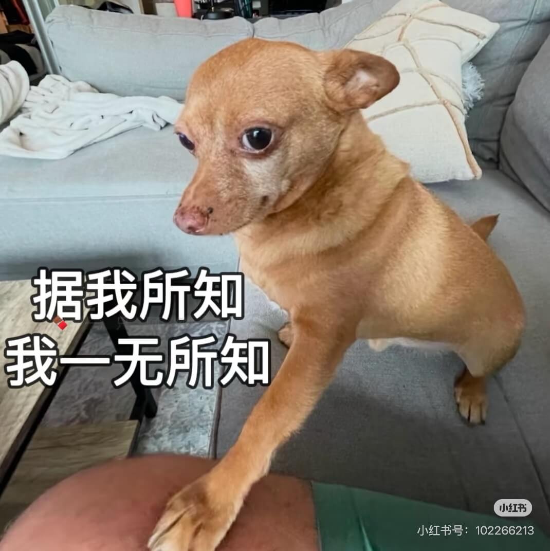 据我所知，我一无所知。小红书，小红书号：102266213
