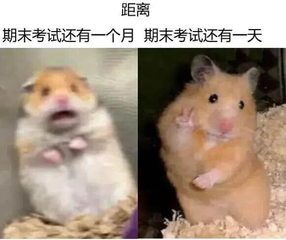 距离期未考试还有一个月期未考试还有一天