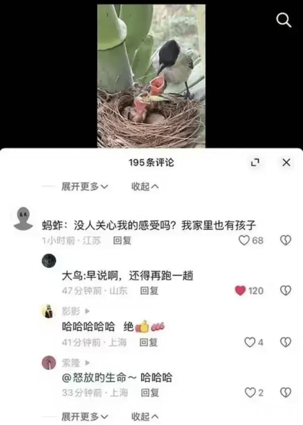 195条评论展开更多收起蚂蚱：没人关心我的感受吗？我家里也有