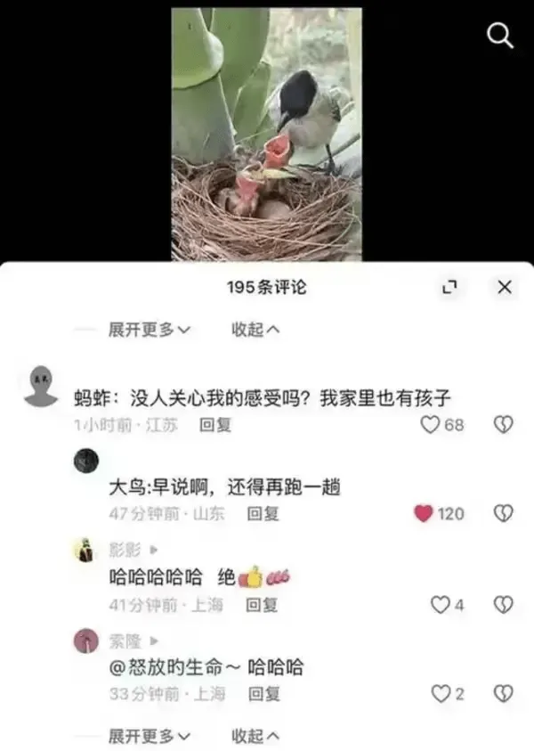 195条评论展开更多收起蚂蚱:没人关心我的感受吗?我家里也有