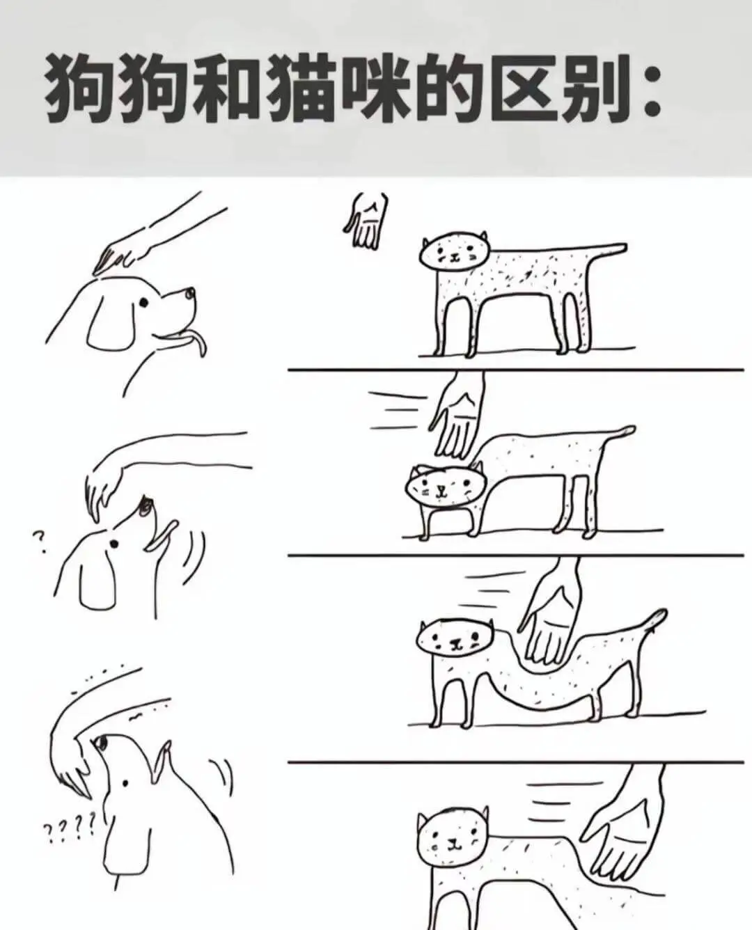 狗狗和猫咪的区别：