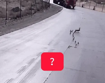 梗图