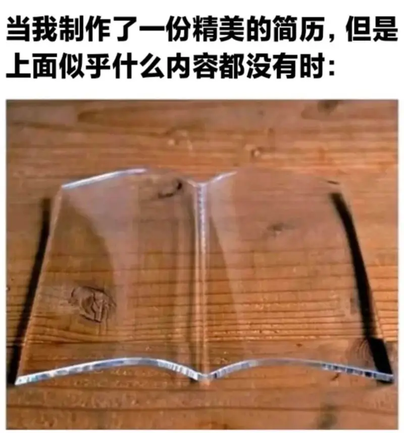 当我制作了一份精美的简历，但是上面似乎什么内容都没有时：