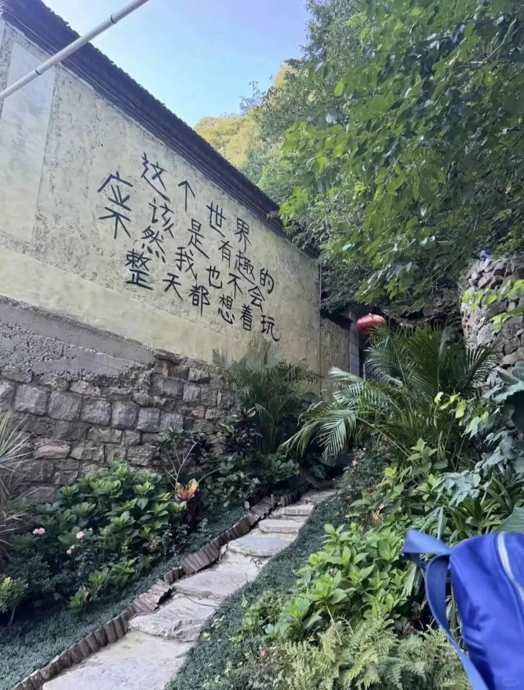 这个世界应该是有趣的整天都想着玩