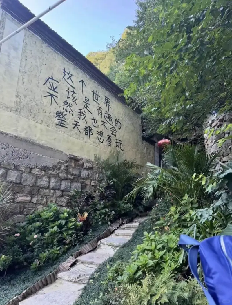 这个世界应该是有趣的整天都想着玩
