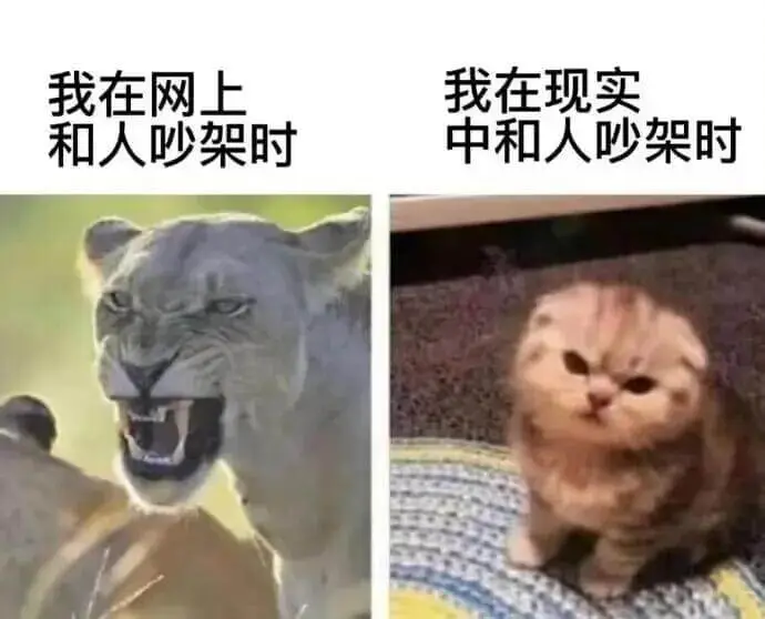 我在网上和人吵架时我在现实中和人吵架时