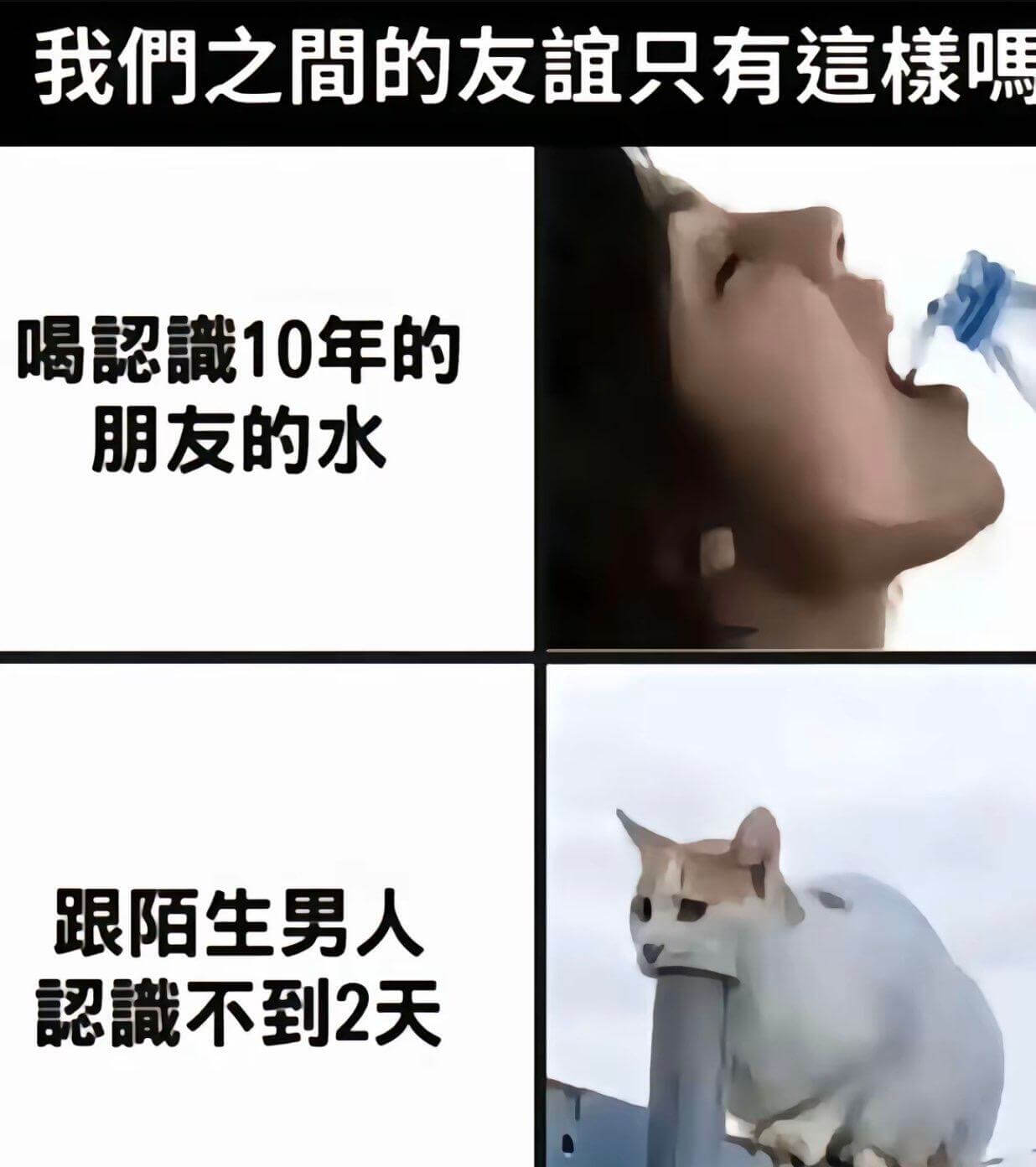 我們之間的友谊只有這檬嘿喝認識10年的朋友的水跟陌生男人識不