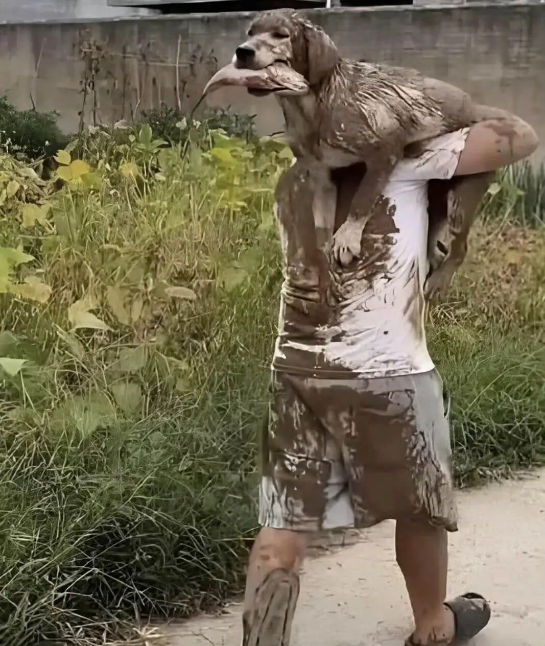 梗图