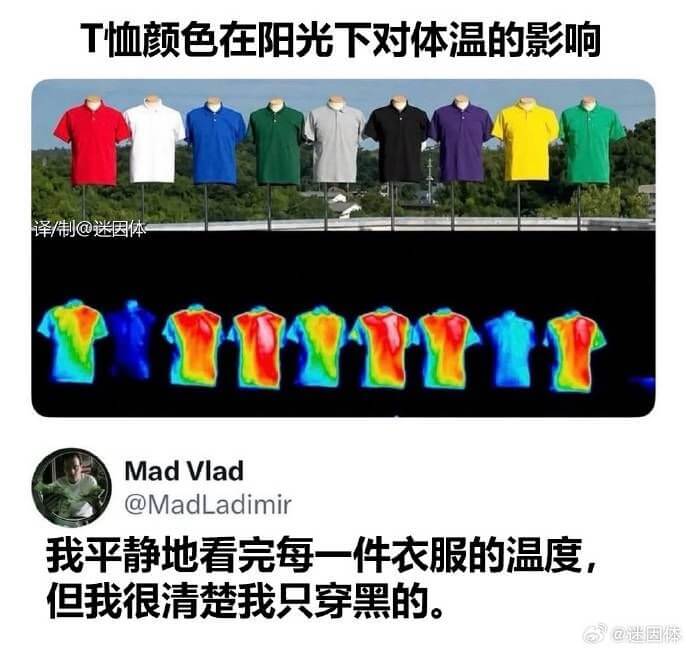 T恤颜色在阳光下对体温的影响译制@迷因体MadVlad@Ma
