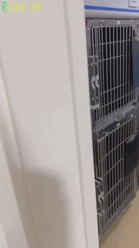 中间那个网是互联网？