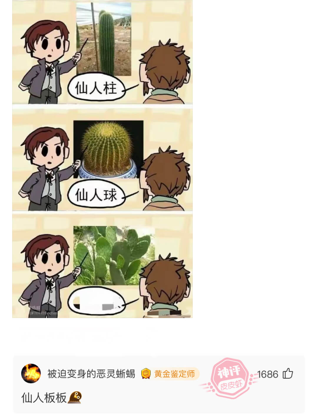 仙人柱仙人球被迫变身的恶灵蜥蜴神评黄金鉴定师1686心皮皮虾