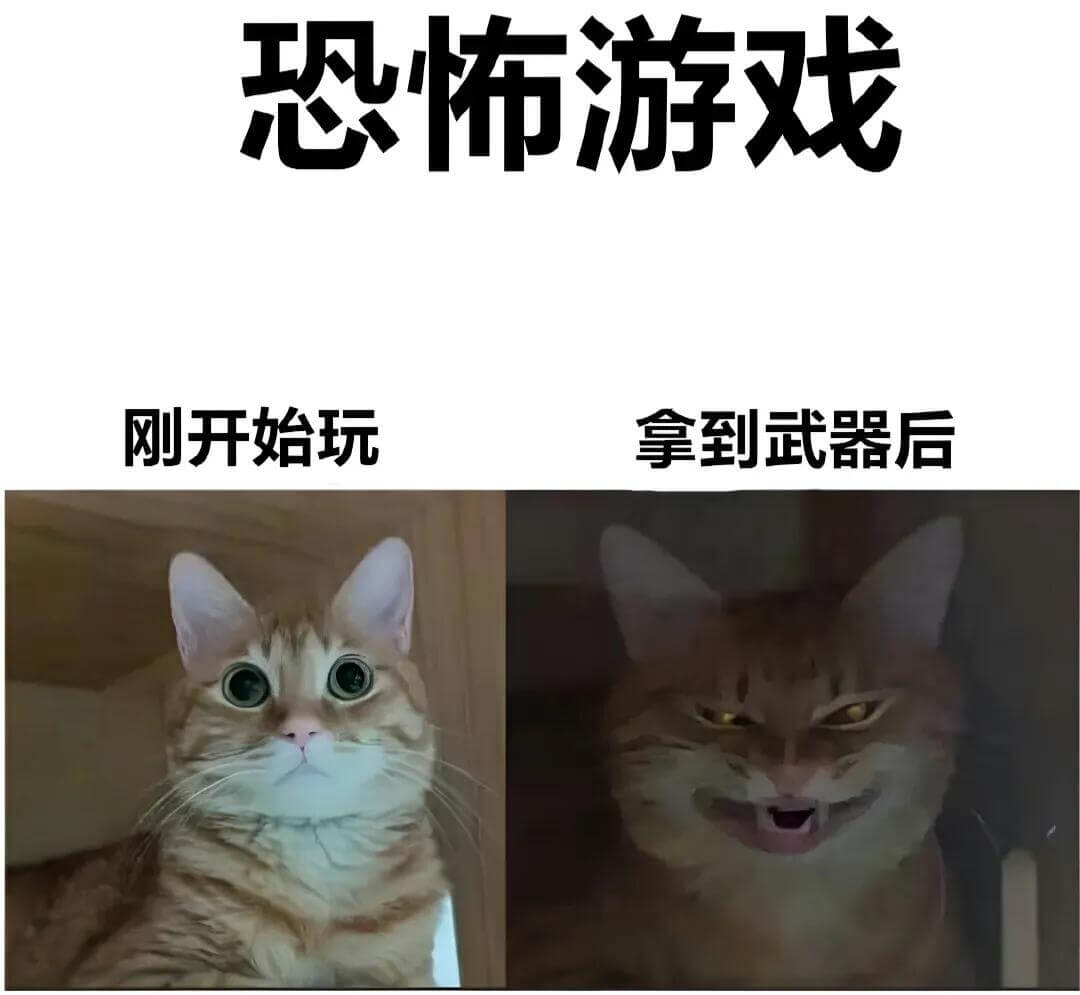 恐怖游戏刚开始玩，拿到武器后