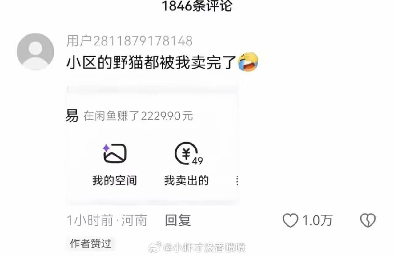1846条评论用户2811879178148：小区的野猫都被