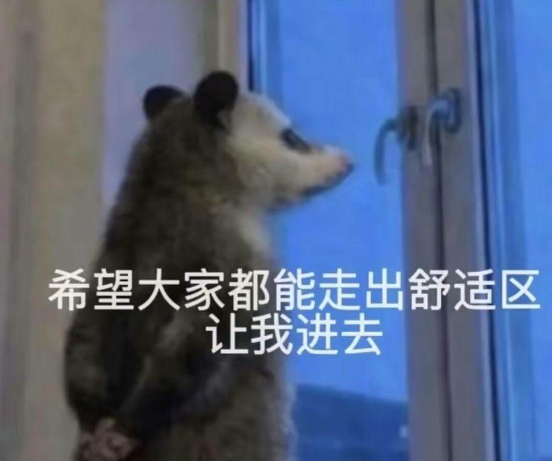 希望大家都能走出舒适区，让我进去