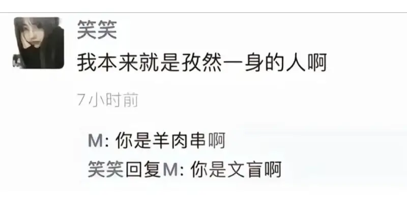 笑笑我本来就是孜然一身的人啊7小时前M:你是羊肉串啊笑笑回复