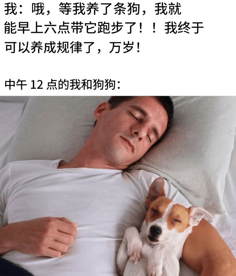 我：哦，等我养了条狗，我就能早上六点带它跑步了！！我终于可以