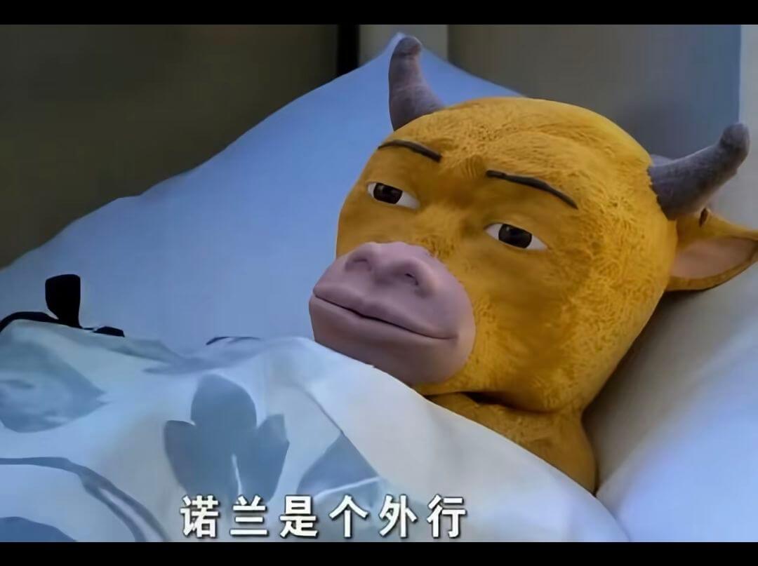 诺兰是个外行