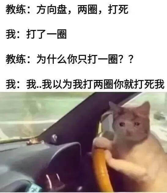 教练：方向盘，两圈，打死我：打了一圈教练：为什么你只打一圈？