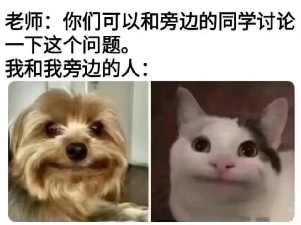 老师：你们可以和旁边的同学讨论一下这个问题。我和我旁边的人：