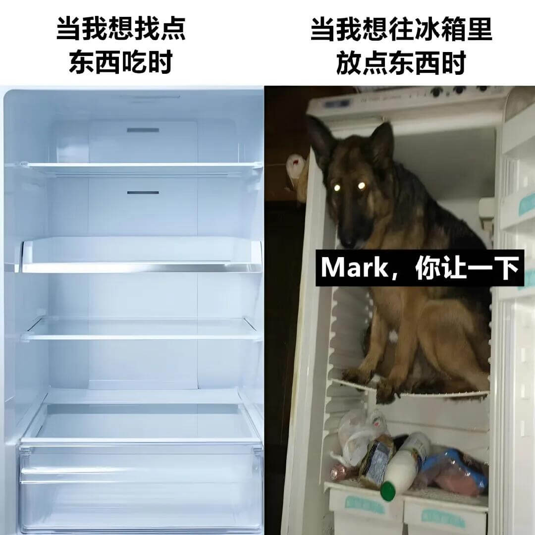 当我想找点东西吃时当我想往冰箱里放点东西时Mark，你让一下