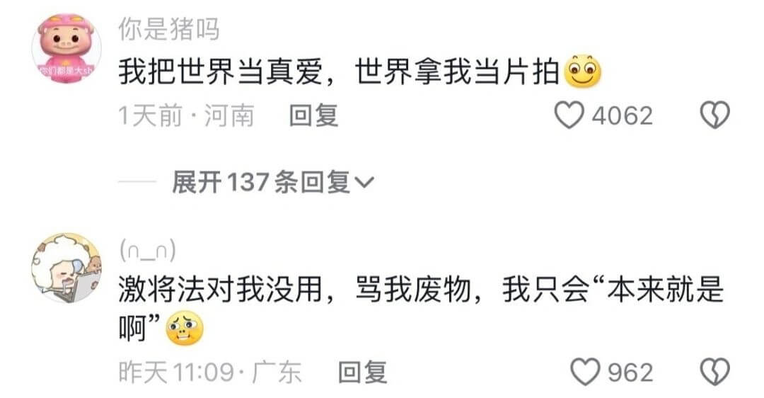 你是猪吗我把世界当真爱，世界拿我当片拍1天前河南回复4062