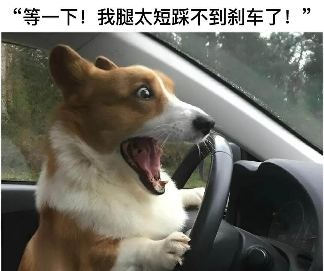 “等一下！我腿太短踩不到刹车了！