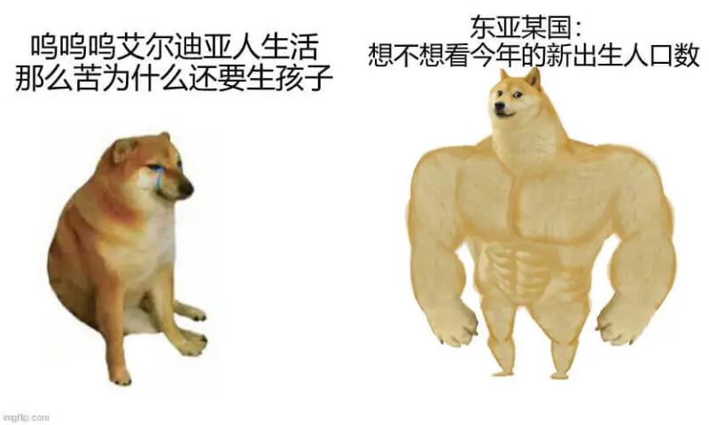 东亚某国：鸣鸣鸣，艾尔迪亚人生活。想不想看今年的新出生人口数