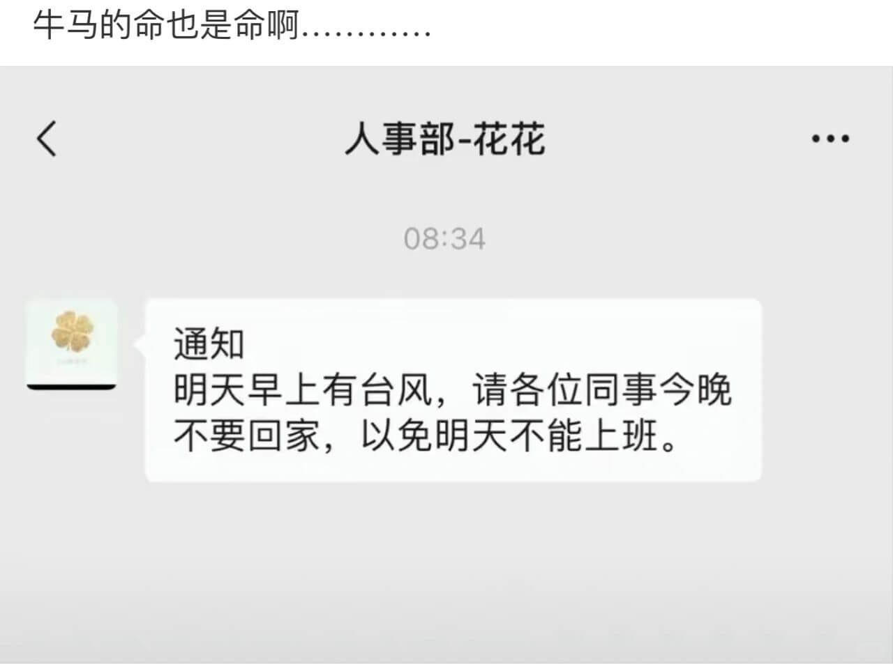 牛马的命也是命啊.人事部-花花:34通知明天早上有台风，请各