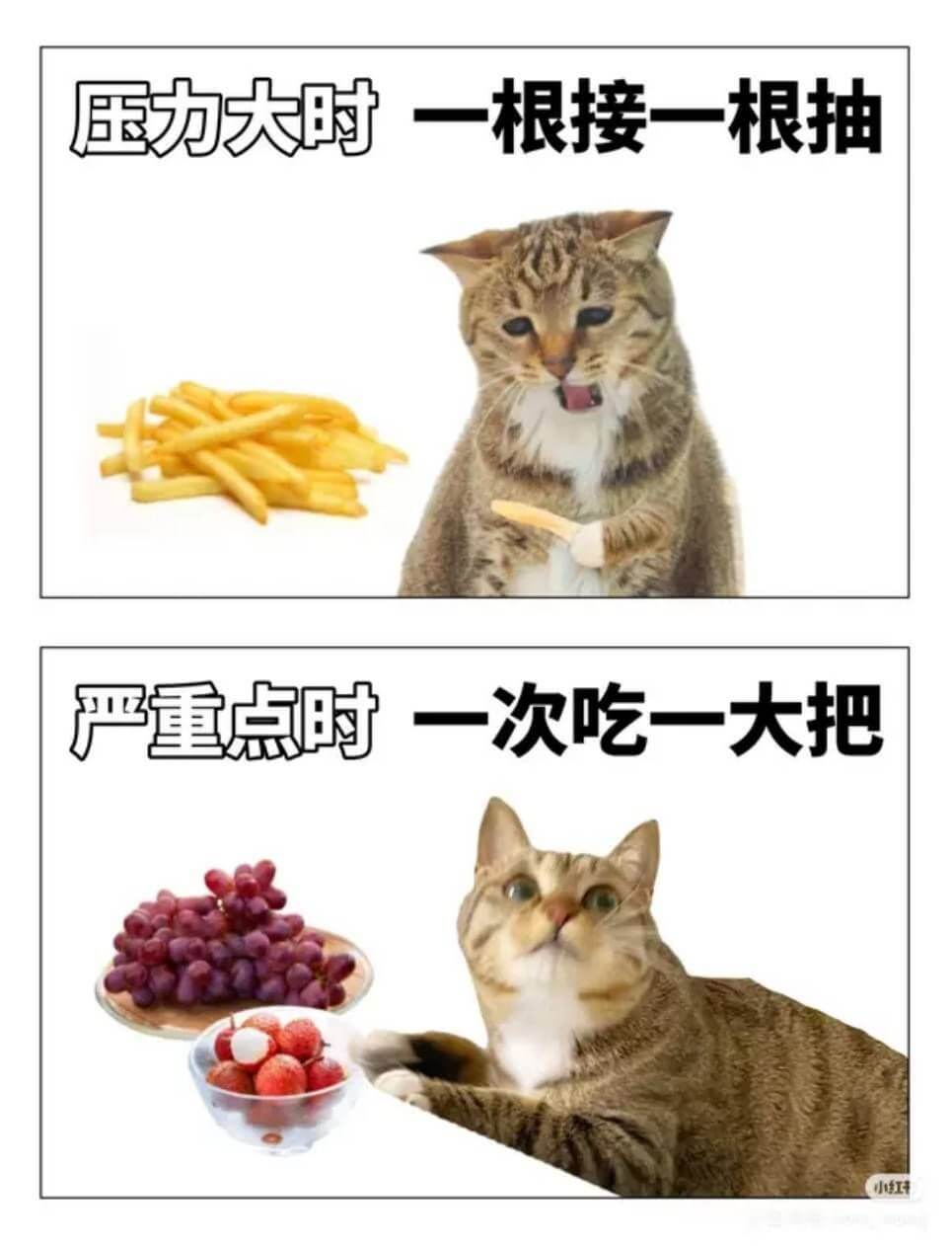 压力大时一根接一根抽严重点时一次吃一大把