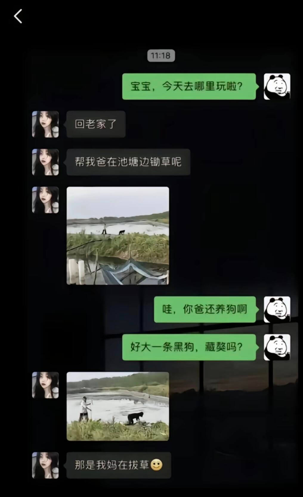 11:18宝宝，今天去哪里玩啦？回老家了帮我爸在池塘边拔草呢