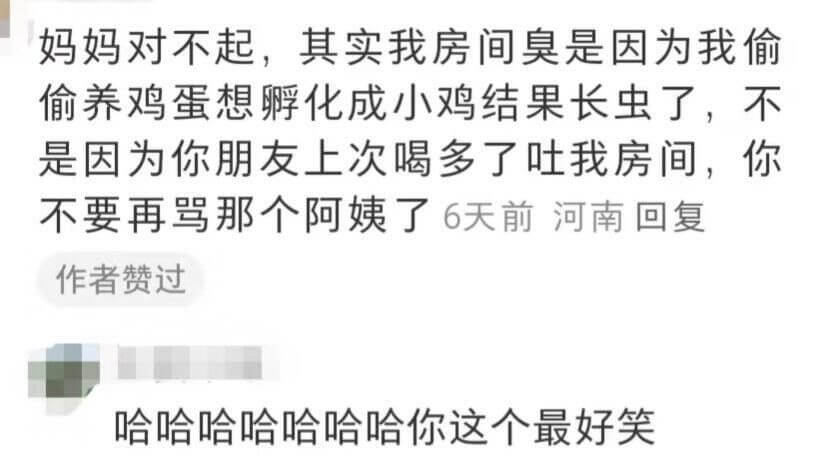 妈妈对不起,其实我房间臭是因为我偷偷养鸡蛋想孵化成小鸡结果长