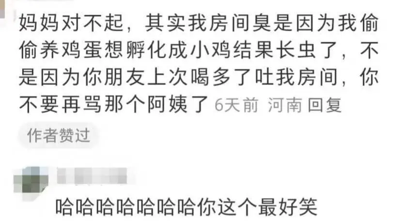 妈妈对不起，其实我房间臭是因为我偷偷养鸡蛋想孵化成小鸡结果长
