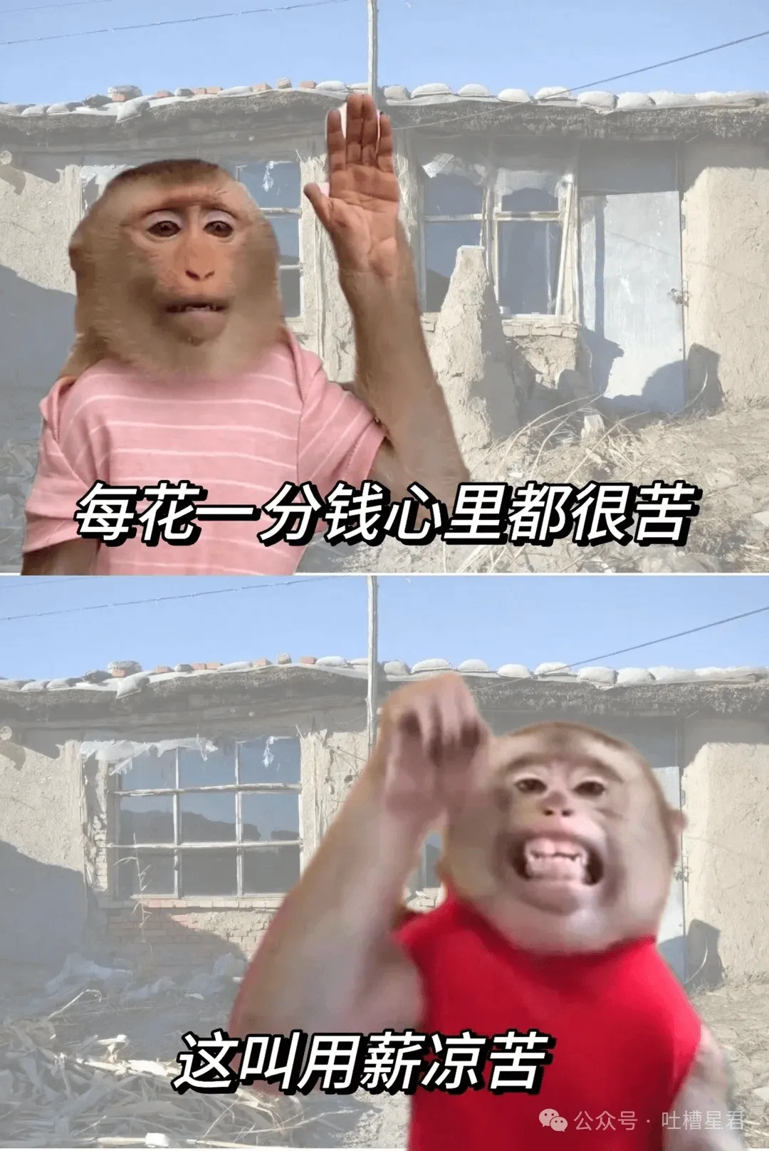 每花一分钱心里都很苦这叫用薪凉苦