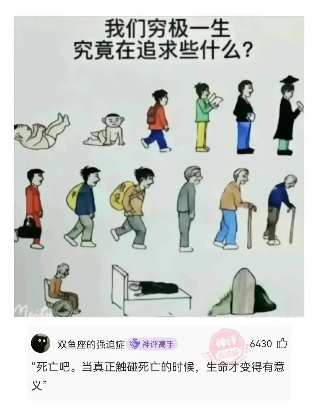 我们穷极一生究竟在追求些什么?双鱼座的强迫症神评高手6430