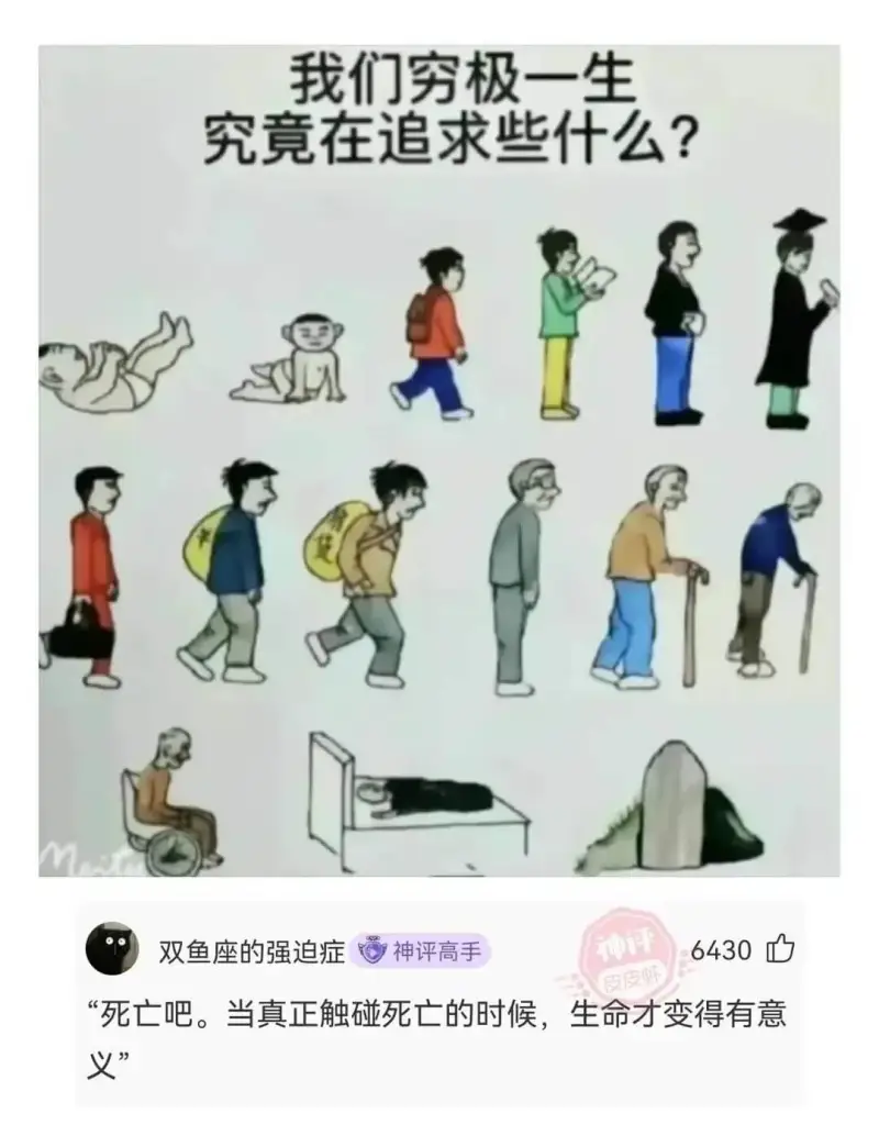 我们穷极一生究竟在追求些什么?双鱼座的强迫症神评高手6430