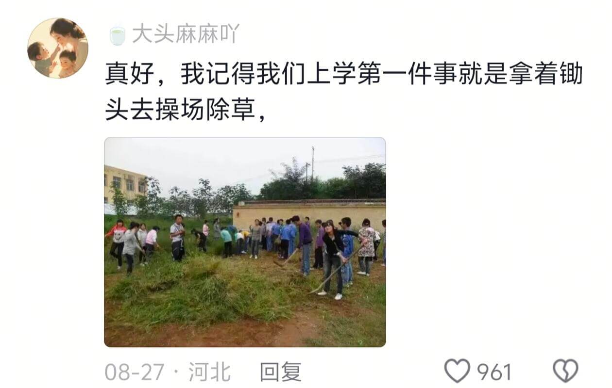 大头麻麻吖真好,我记得我们上学第一件事就是拿着锄头去操场除草