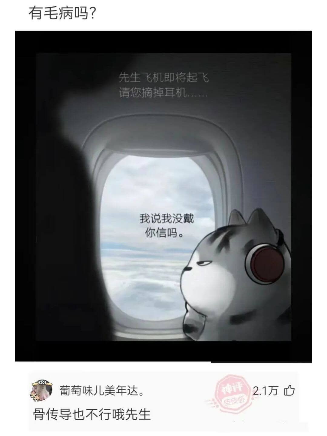 有毛病吗?先生飞机即将起飞请您摘掉耳机我说我没戴你信吗。葡萄