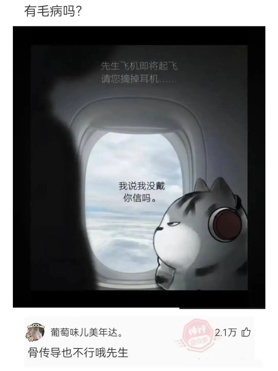 有毛病吗?先生飞机即将起飞请您摘掉耳机我说我没戴你信吗。葡萄