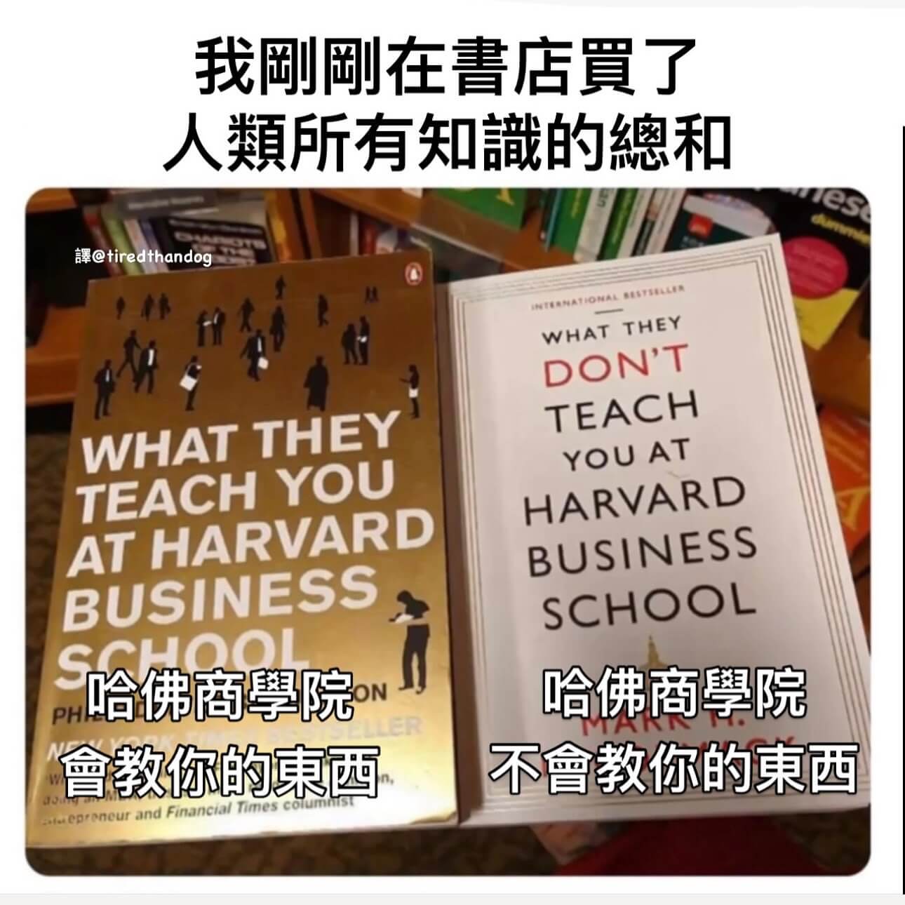 我副剧在書店質了人類所有知識的總和澤@tiredthando