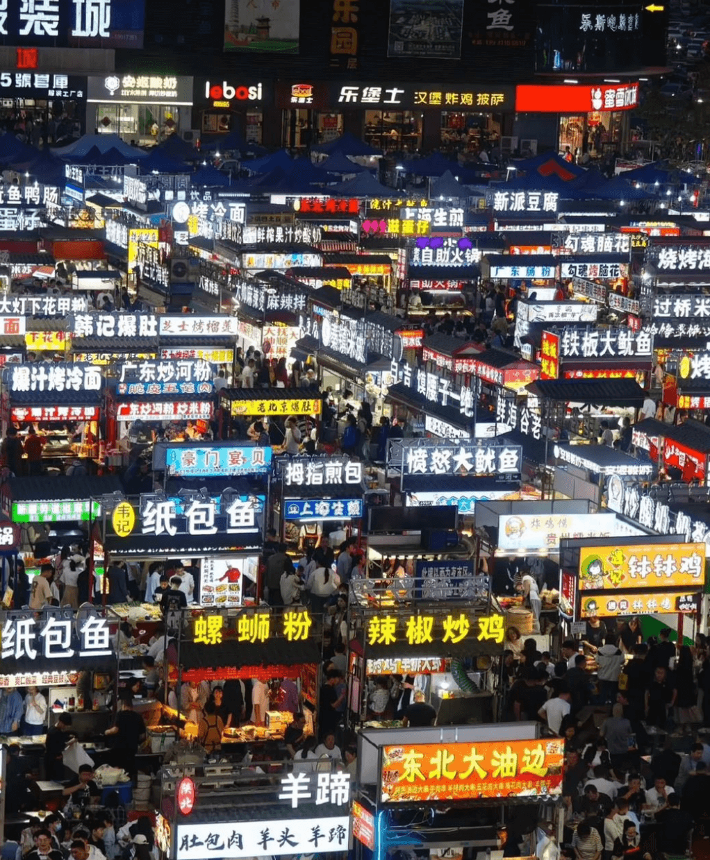 装城乐园鱼乐斯电脑二层5號营庫安装酸奶lobosi绿装工厂店